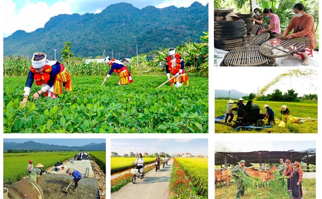 Tháo gỡ khó khăn, vướng mắc trong thực hiện các chương trình mục tiêu quốc gia giai đoạn 2021-2025